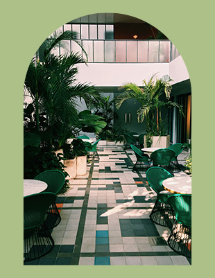 Lobby with greenery